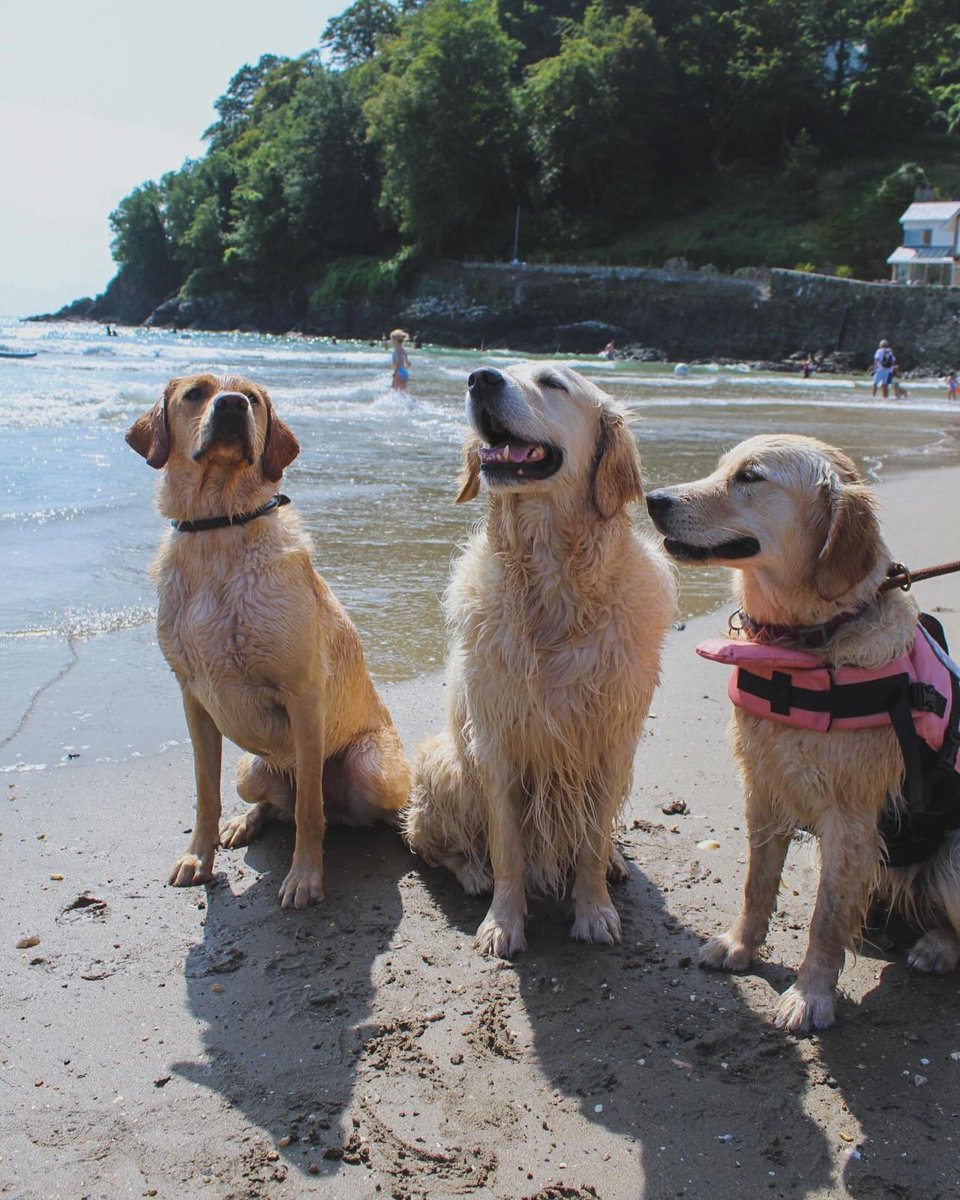 J&PR Ltd tweet media