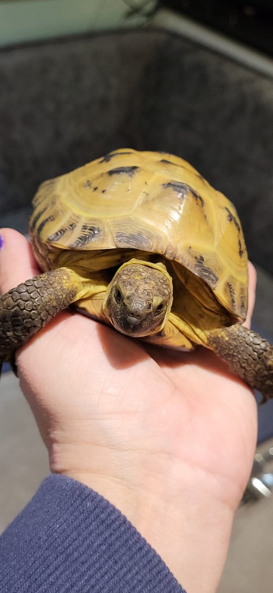 J&PR Ltd tweet media