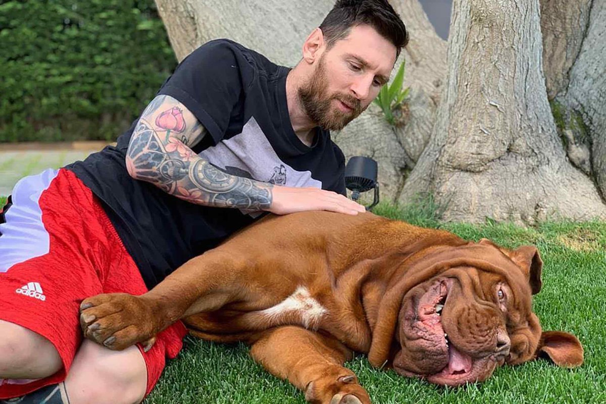PremierBetLR's tweet photo. Forget strike partners — this is the real dream duo 🐾💯
What's your pet's name &amp; nickname? Bet it’s iconic. 👇 #NationalPetDay https://t.co/J5B4kMX8qq