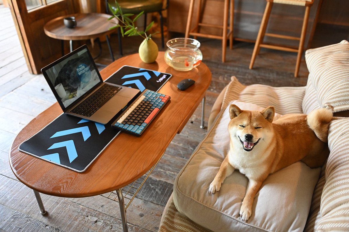bitget's tweet photo. Happy #NationalPetDay to all our purrfect and paw-some crypto companions! 🐾

📸 Share a pic of your best 'crypto buddy' who's been with you during the market swing for a chance to share 500 USDT! 

🔄 RT &amp; Follow @bitgetglobal 
🏆 10 winners! 

Drop it now👇 https://t.co/L0IaDfzGEZ