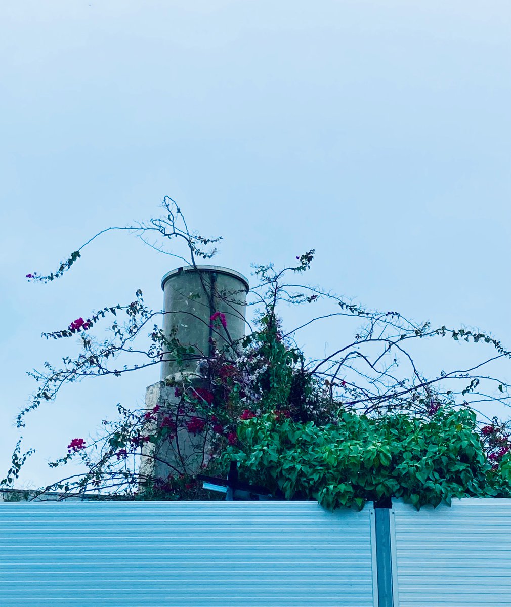 AudioMusicSound tweet media