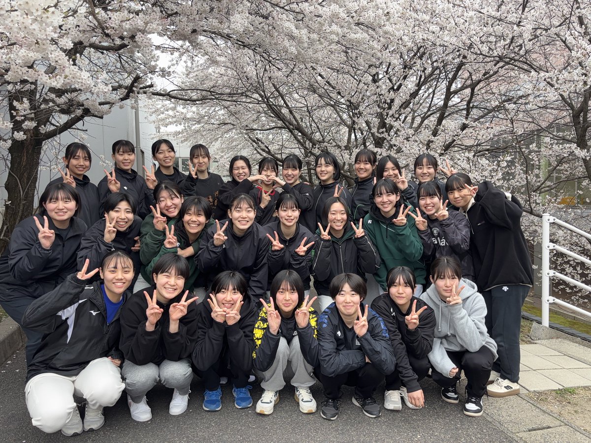 新潟医療福祉大学 女子バレーボール部 tweet media