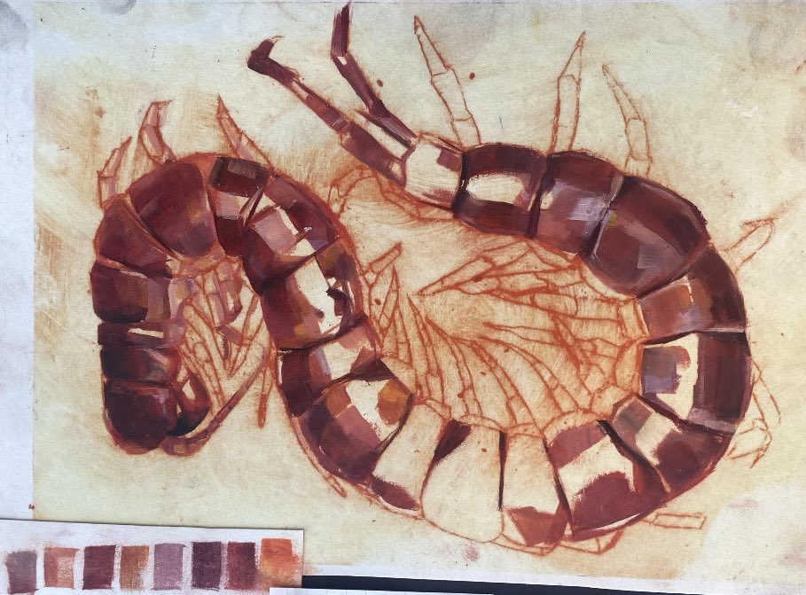beetwoem's tweet photo. centipede from my AS coursework 🐛 oil on paper https://t.co/6ayqIlR4vE
