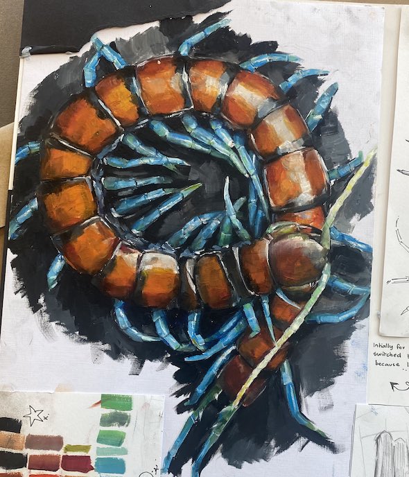 beetwoem's tweet photo. centipede from my AS coursework 🐛 oil on paper https://t.co/6ayqIlR4vE