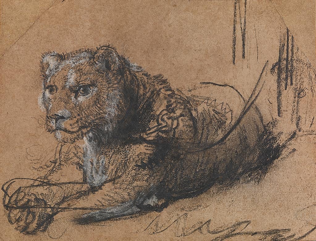 artmajeur's tweet photo. Art meets conservation! Thomas Kaplan's Rembrandt auction aims to save big cats. ๐ฆ๐ผ๏ธ Learn how one collector is bridging worlds to protect wildlife. #ArtForWildlife #Conservation
โก๏ธ Read the full article here: https://t.co/puCi9o4y4S https://t.co/xfZ1xTRKjh