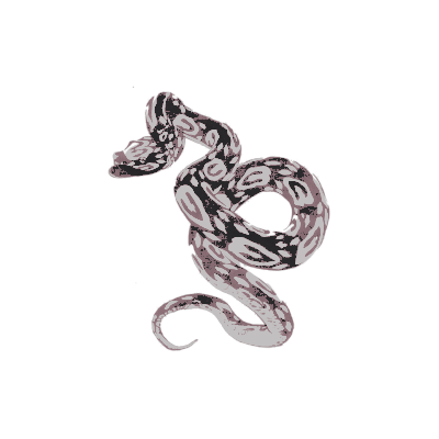 ophidaes's tweet photo. ͏
͏         　̷̸⃨♡ ོ        𝙱͟🅾︎𝙳𝒀         ༢
          hopper      𓍼      𝑴𝙸𝙻𝙵. https://t.co/QxdpdwCml7