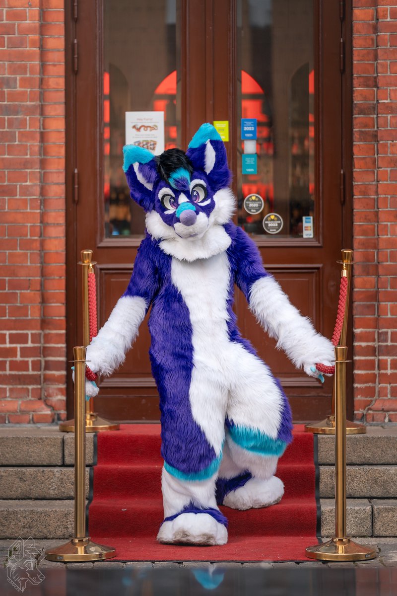 Happy #FursuitFriday!

📷 <a href="/vlaaacek/">VlaceK</a> 
🪡 <a href="/AltaWoof/">Alta!! 🔜 Pawske, MFF</a> 
📍 #NFC25