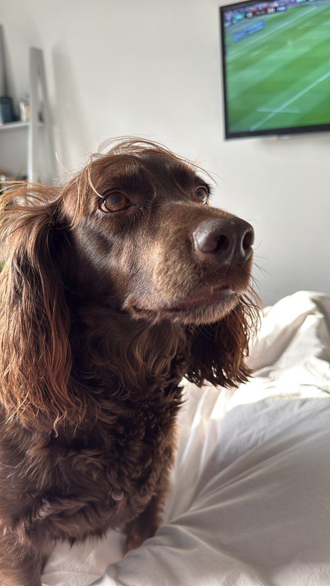 Commander Unfortunable 💙 tweet media