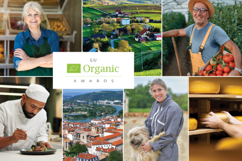EESC_PRESS's tweet photo. Are you making a difference in the organic sector? 🌱

Don’t miss your chance to be recognised! 🏆

Apply for the #EUOrganicAwards by 27 April 2025

Celebrate your impact &amp; inspire others!

ℹ️ For more info go to: https://t.co/1H2pBbDvfr

#OrganicEU #SustainableFood https://t.co/idEyJLBp9r