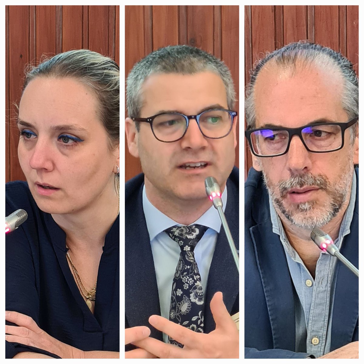 The EFN GA started today with the 3 EFN Committees’ leads reporting on the outcomes of their respective Committees’ discussions. Their conclusions &amp; recommendations are key for the EFN to move on with its EU policy design work targeting the EU Institutions.