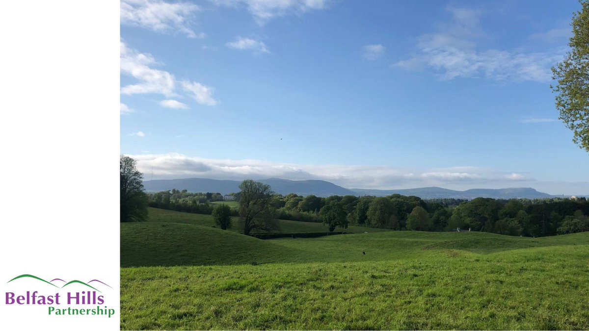 Belfast Hills (@belfasthills) on Twitter photo We're delighted to be supported by <a href="/RiverRidge_/">RiverRidge</a>, in partnership with the <a href="/CFNIreland/">Community Foundation for Northern Ireland</a>. Our project will allow us to carry out more woodland & wildflower meadow management and support volunteers, school groups & students in getting involved with looking after our local environment! We're delighted to be supported by <a href="/RiverRidge_/">RiverRidge</a>, in partnership with the <a href="/CFNIreland/">Community Foundation for Northern Ireland</a>. Our project will allow us to carry out more woodland & wildflower meadow management and support volunteers, school groups & students in getting involved with looking after our local environment!