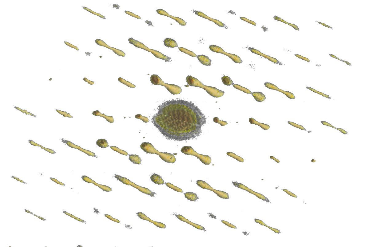 The reciprocal space of a 2D material (#WS2) is always spectacular. <a href="/IITalk/">IIT</a>