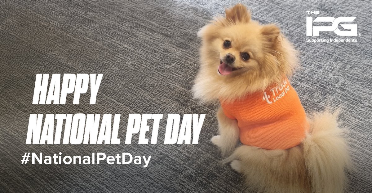 The IPG (@ipg_the) on Twitter photo This #NationalPetDay, weโre celebrating our office dog, Amber! ๐พ
Sheโs a proud supporter of <a href="/tradelocalday/">Trade Local Day</a>โbecause even our furry friends know the value of shopping local. ๐
#SupportIndependents #TradeLocal #ShopIndependent This #NationalPetDay, weโre celebrating our office dog, Amber! ๐พ
Sheโs a proud supporter of <a href="/tradelocalday/">Trade Local Day</a>โbecause even our furry friends know the value of shopping local. ๐
#SupportIndependents #TradeLocal #ShopIndependent