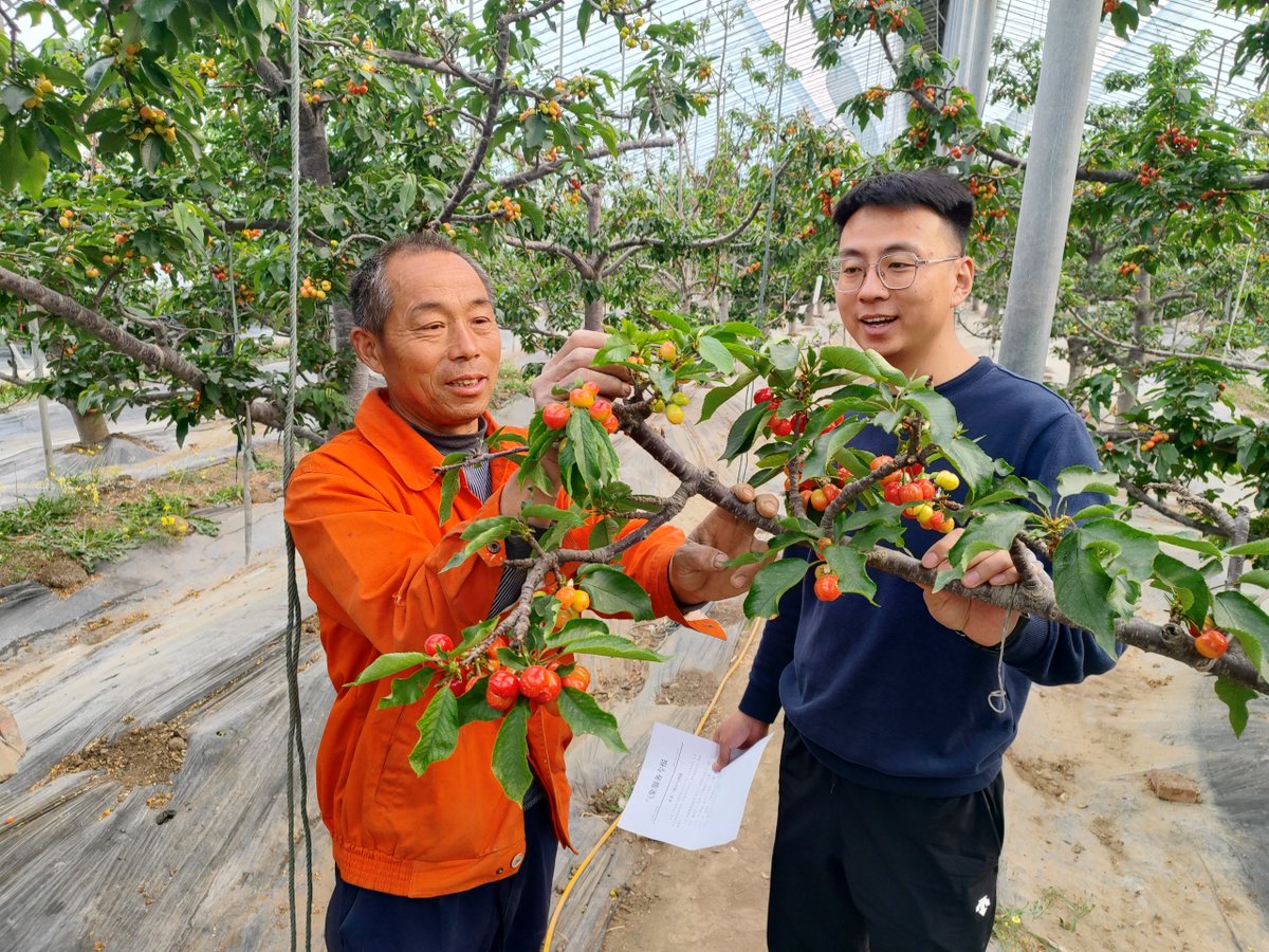 cmanewsinfocus's tweet photo. Meteorological departments across China are seizing critical farming periods to support the continued the bumper harvest on vast fertile lands.😊
Dig deeper through a group of photos.
https://t.co/oGKNGHl1z8
@i_hebei @Visit_Xinjiang @iShandong
#MetServices https://t.co/auVVGpXxD5