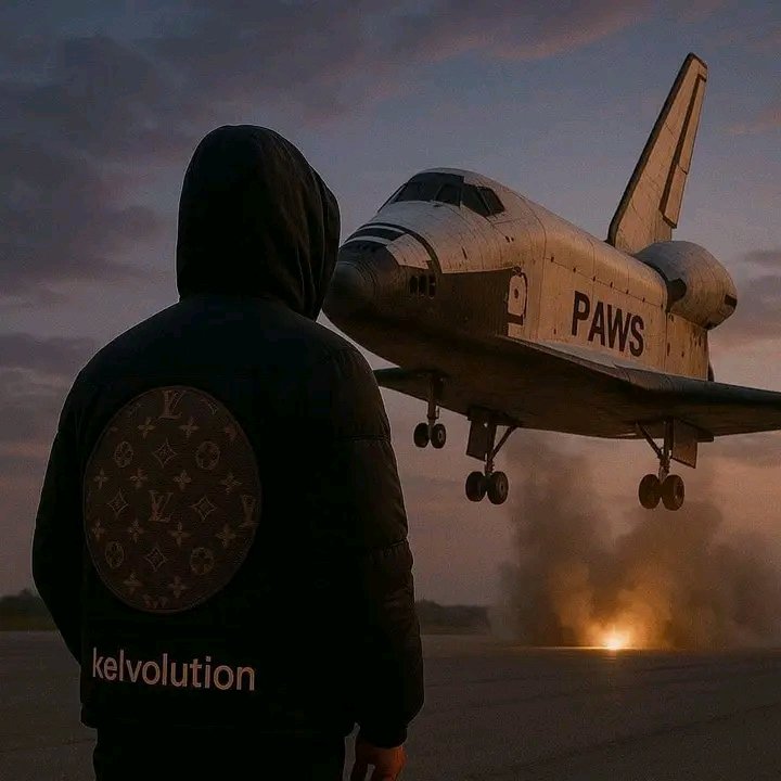 DonRaphael_et's tweet photo. What you need to understand about project launching under #solana chain
#they re huge an interchain project 
#they re worth a good dinamic tokenprice 
#huge liquidity provider 
#community support

Congratulations to #paws family 

#donraphael #viralpost2024シ https://t.co/2WG9GSWCiA