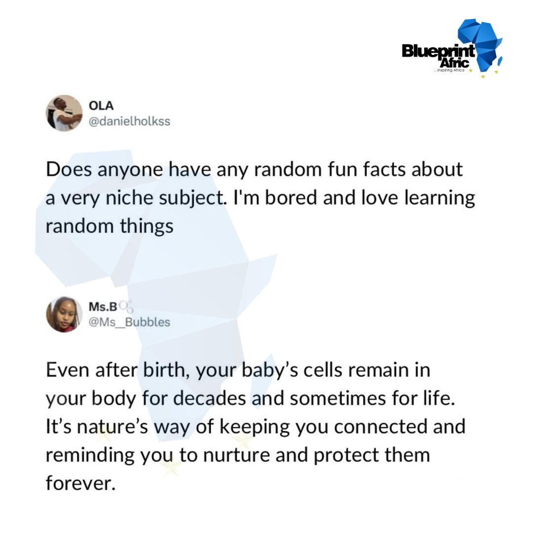 blueprintafric's tweet image. How many of these random fun facts did you already know?

Test your knowledge and swipe through, you might just learn something new!

Thread!

#BlueprintAfric #DidYouKnow #FunFactsFriday