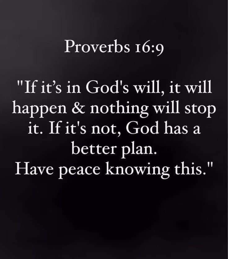 Bible 365 tweet media