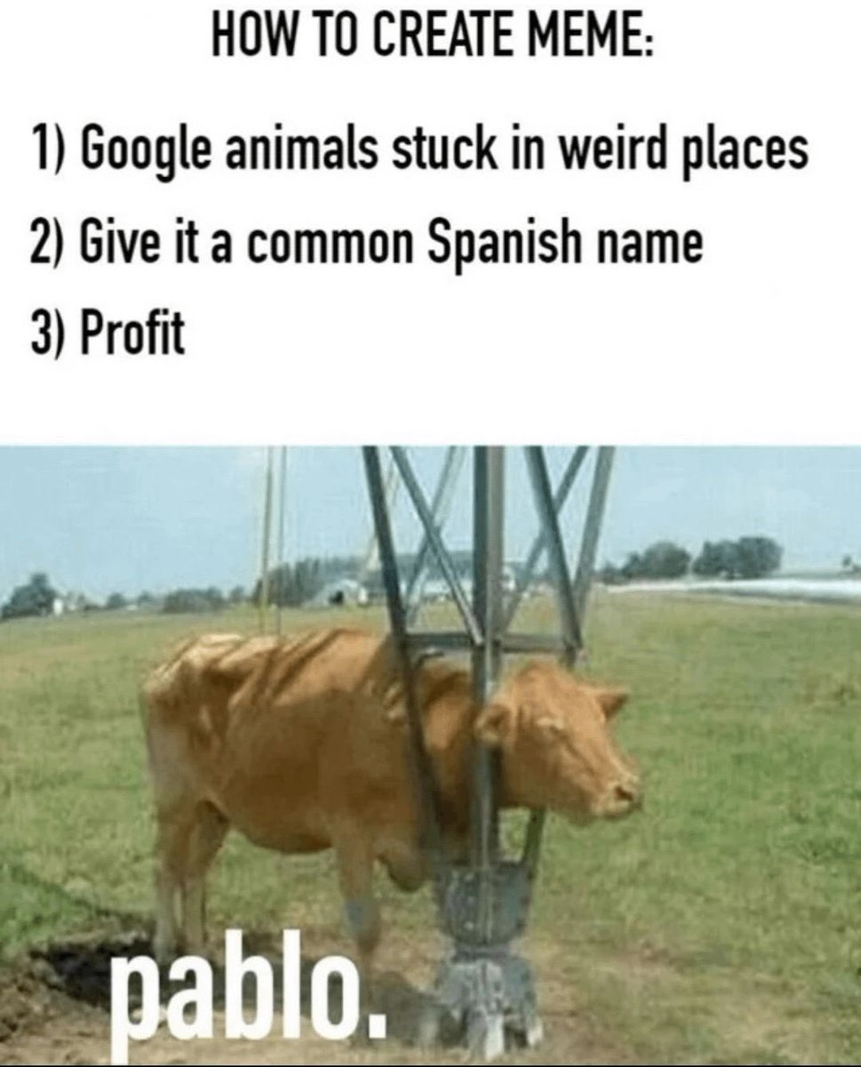 Hey <a href="/bankrbot/">Bankr</a> deploy a token called ‘Pablo’