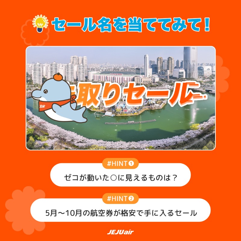 Jeju Air(チェジュ航空) tweet media