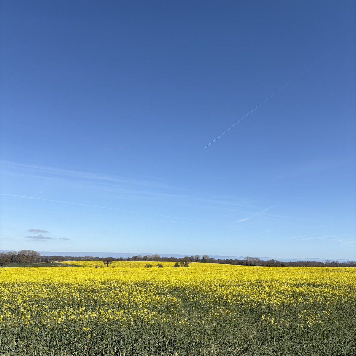 Great Yarmouth Samaritans tweet media