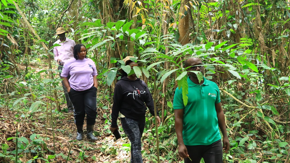 Fairventures Worldwide Uganda tweet media