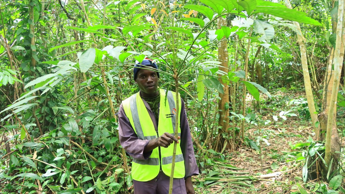 Fairventures Worldwide Uganda tweet media