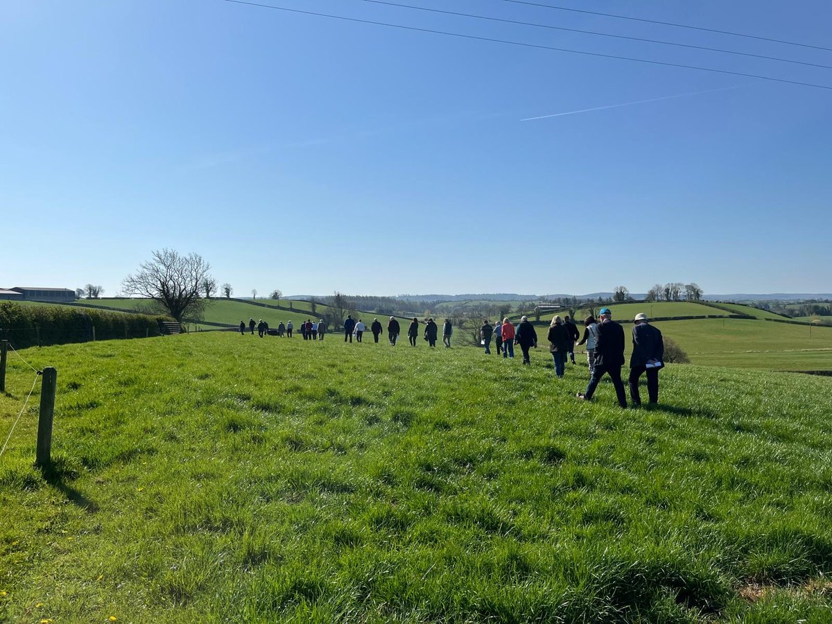 The Group learnt about their profitable spring block calving system and how they grow and use as much grass as possible (2/3) 🐮☀️
#CARASNI