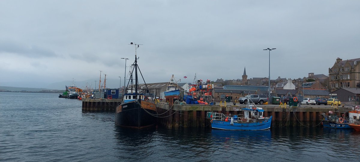 AnnDHenderson's tweet image. Evening in Stromness @OrkneyCouncil And a grey morning today. #TimeOff #Memories