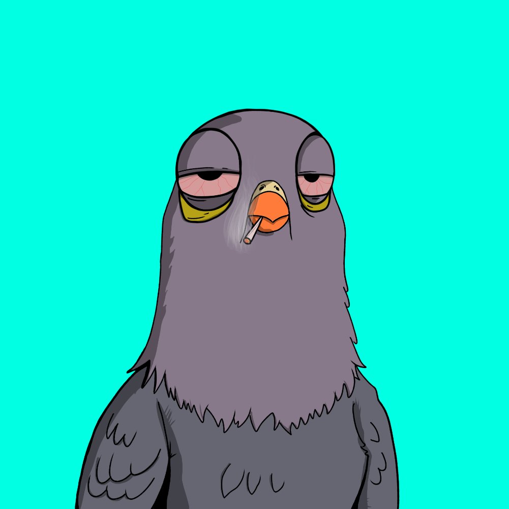 Ghettopigeons's tweet photo. TWITTER $COO AIRDROP 🪂

IF YOU OWN A GHETTO PIGEON, POST IT BELOW WITH YOUR WALLET ADDRESS✅

Once I've confirmed you do hold a pigeon you'll receive a fresh airdrop of $COO 🪂

#AIRDROP https://t.co/le2FPdgn8V