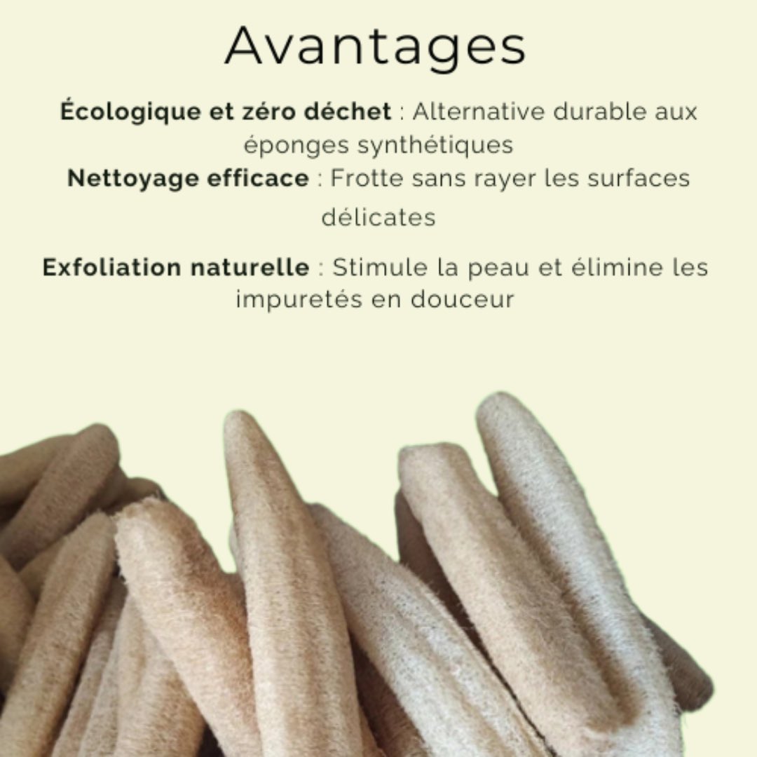 Verdyo_'s tweet photo. 🌿 Dites stop aux éponges jetables 🧽 Adoptez l’éponge naturelle en luffa et faites un geste simple pour la planète 💚
➡️ Prêt·e à faire la différence ? Commandez votre éponge naturelle dès maintenant sur https://t.co/xCp3PvgDMJ
#ZéroDéchet #Luffa #MaisonResponsable #Éponge https://t.co/srFfrwQOAJ