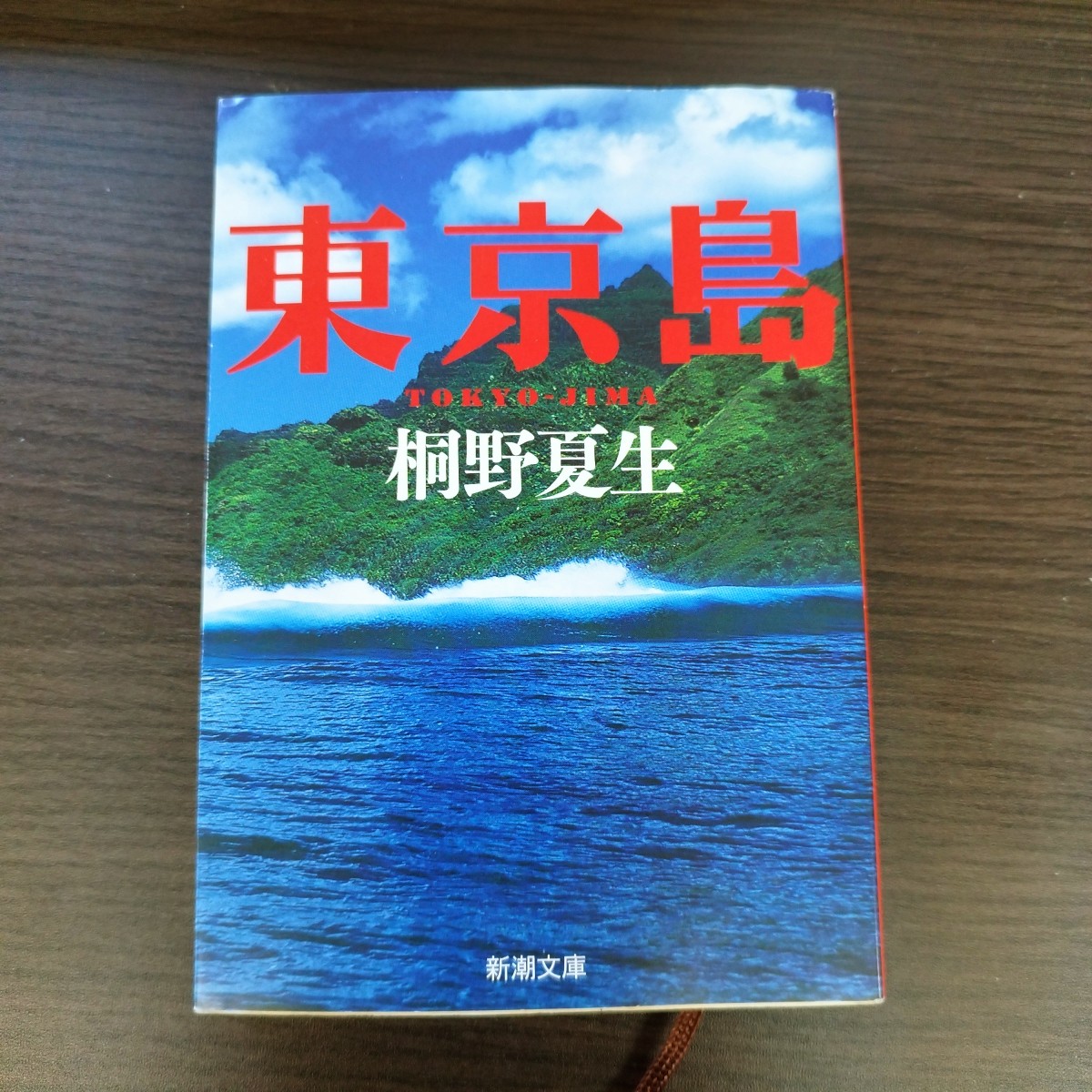 kisades's tweet photo. #東京島
#桐野夏生

孤島に辿り着いた
34人の男と
唯一の女性、清子の
無人島生活物語ｗ
清子はふてぶてしく
生き抜きながらも
人間関係や権力争いに
巻き込まれていく…
結��シュールな物語。
意外に面白かった😃

#小説 #読書 #読了
#読書好きな人と繋がりたい https://t.co/tfxvFNeTyz