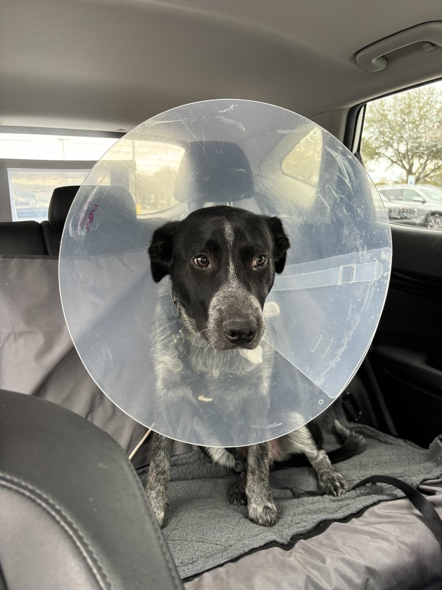 AshCoinSC's tweet photo. This will be YOU in the cone of shame if you donβt join the #AshCoinSC community! Check out the tele link in bio π and join the fast growing #memecoin community!
Donβt miss out on entering in EARLY !
Contests
Early CA
And More!! πππ https://t.co/Xsbwdsm9Z8