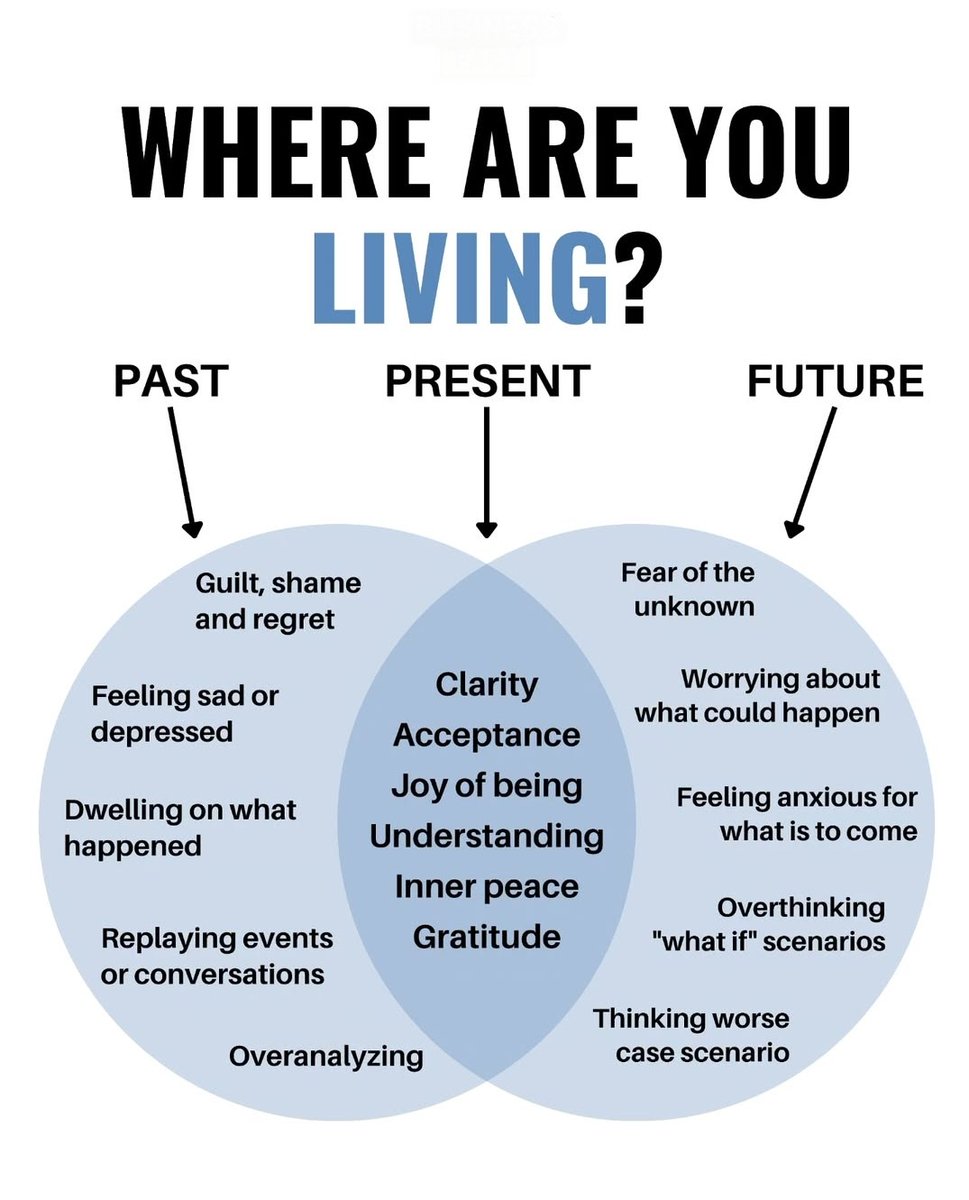 Seek Wiser (@seekwiser_) on Twitter photo 