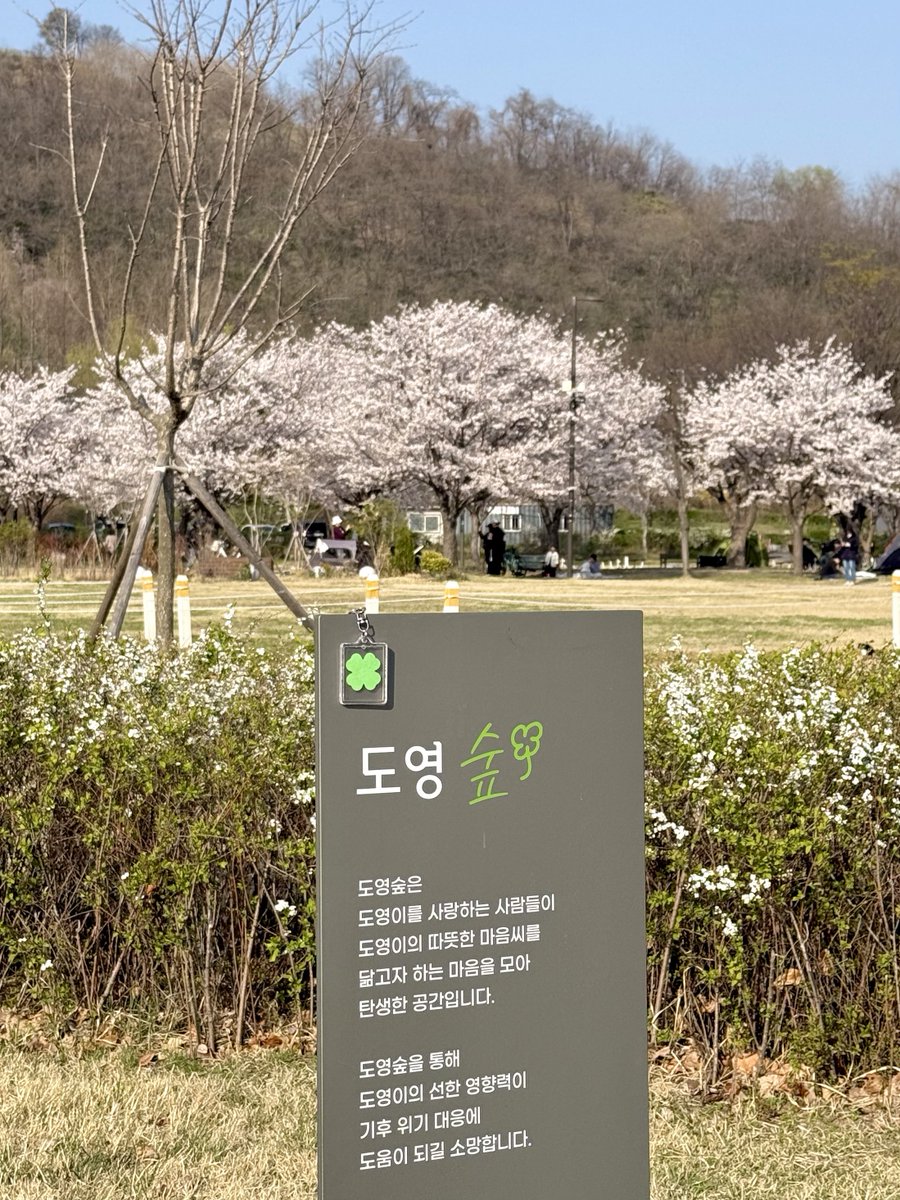 februarywaves's tweet photo. 🌳도영숲

지금 벚꽃 만개해서 도영숲 너무 예뻐 ...
자전거 타면서 청춘의 포말 전곡 들었는데
댈러필 나올 때 벚꽃길 지나다가 눈물날뻔 🥹 https://t.co/TAQeYZGtYz