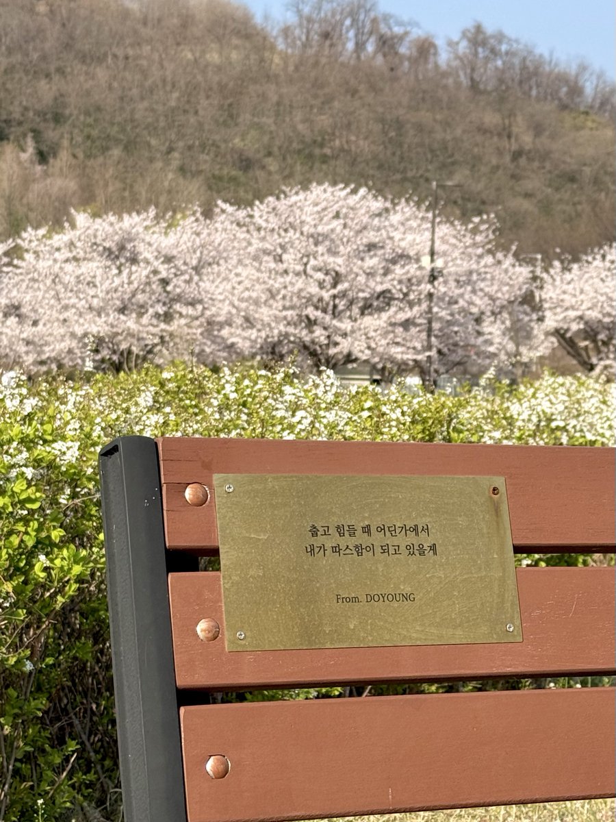 februarywaves's tweet photo. 🌳도영숲

지금 벚꽃 만개해서 도영숲 너무 예뻐 ...
자전거 타면서 청춘의 포말 전곡 들었는데
댈러필 나올 때 벚꽃길 지나다가 눈물날뻔 🥹 https://t.co/TAQeYZGtYz