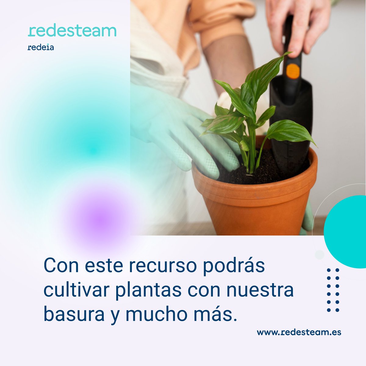 🌱🔬 ¡Descubre cómo enseñar la ciencia del suelo en clase! Proyectos adaptados por edad para explorar agricultura y sostenibilidad. 🌾💧
👉 redesteam.es/recursos/16784…
#redeSTEAM #EducaciónAmbiental #AgriculturaSostenible #STEAM
