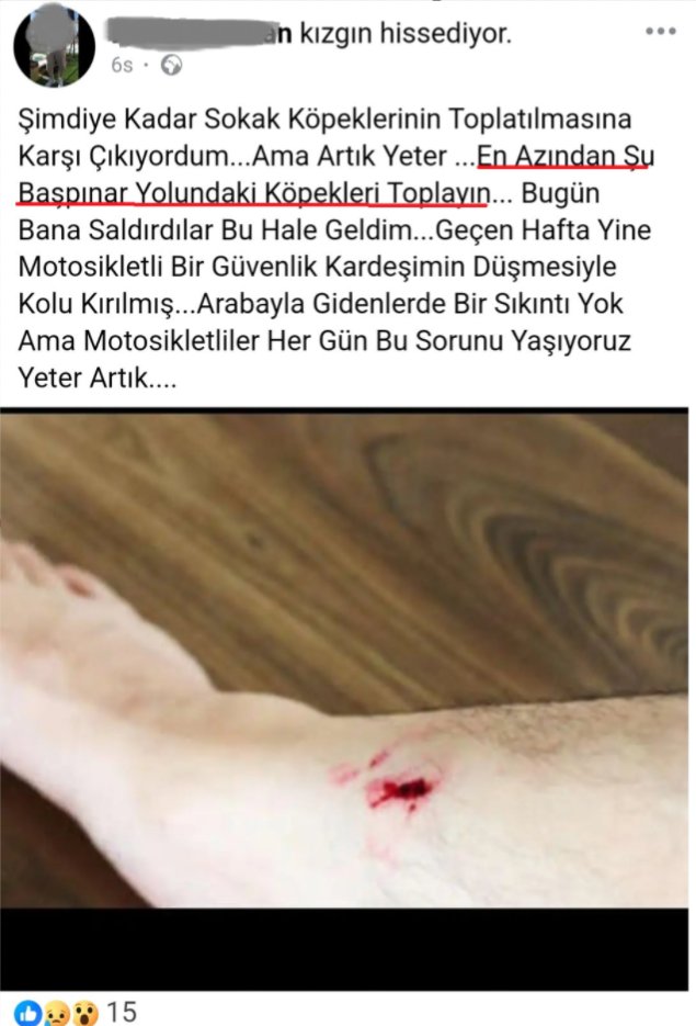 ÖNCE:
- Bana dokunmayan yılan (it) bin yıl yaşasın.

SONRA:
- Şu beni ısıranı bari alın gardaşım, bu nedir?