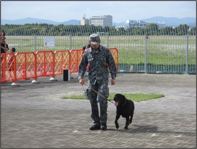 jasdf_airpark's tweet image. 4月20日(日)イベントのお知らせ
屋外展示場において警備犬の訓練展示を行います。雨天時は、展示格納庫における警備犬の展示イベントに変更します。
広報館職員一同、皆様のお越しをお待ちしております。
詳しくは当館ホームページをご覧ください。
#航空自衛隊
#浜松広報館
#エアーパーク
