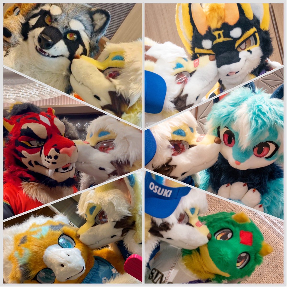 Osuki 🔜 Thaitails tweet media