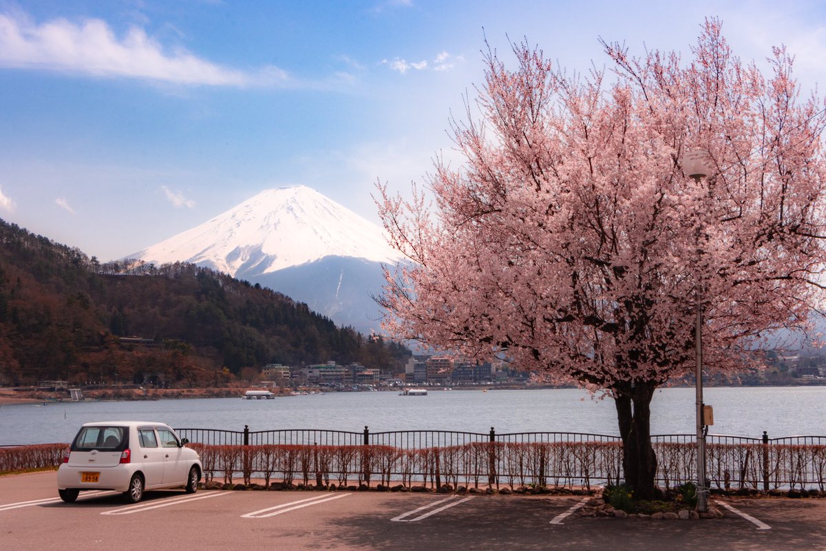 Tom Citoleux tweet media