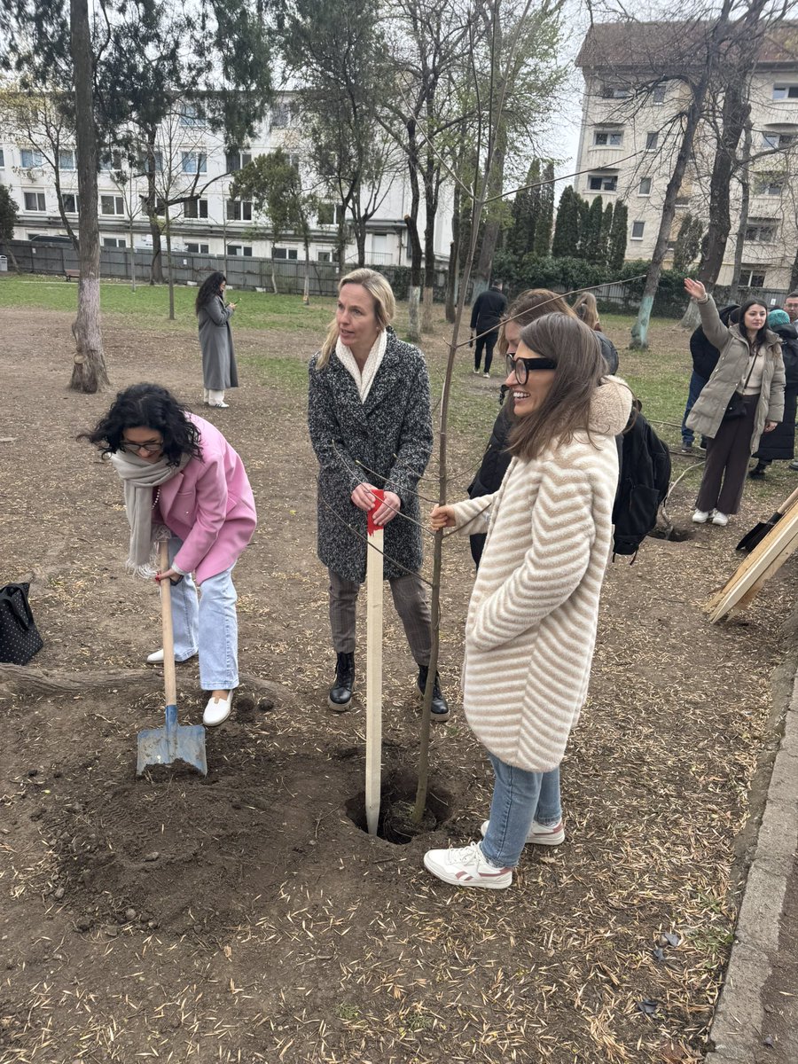 ErasmusPlusInd's tweet photo. The #ErasmusPEACE conference in Cluj ended under the sign of green and international cooperation. The participants planted 20 maple trees (one for each participating countries) as a sign of peace in Romania.The first green park inside a school(Avram Iancu HighSchool)
#Erasmusplus https://t.co/Eu1n4Syv9V