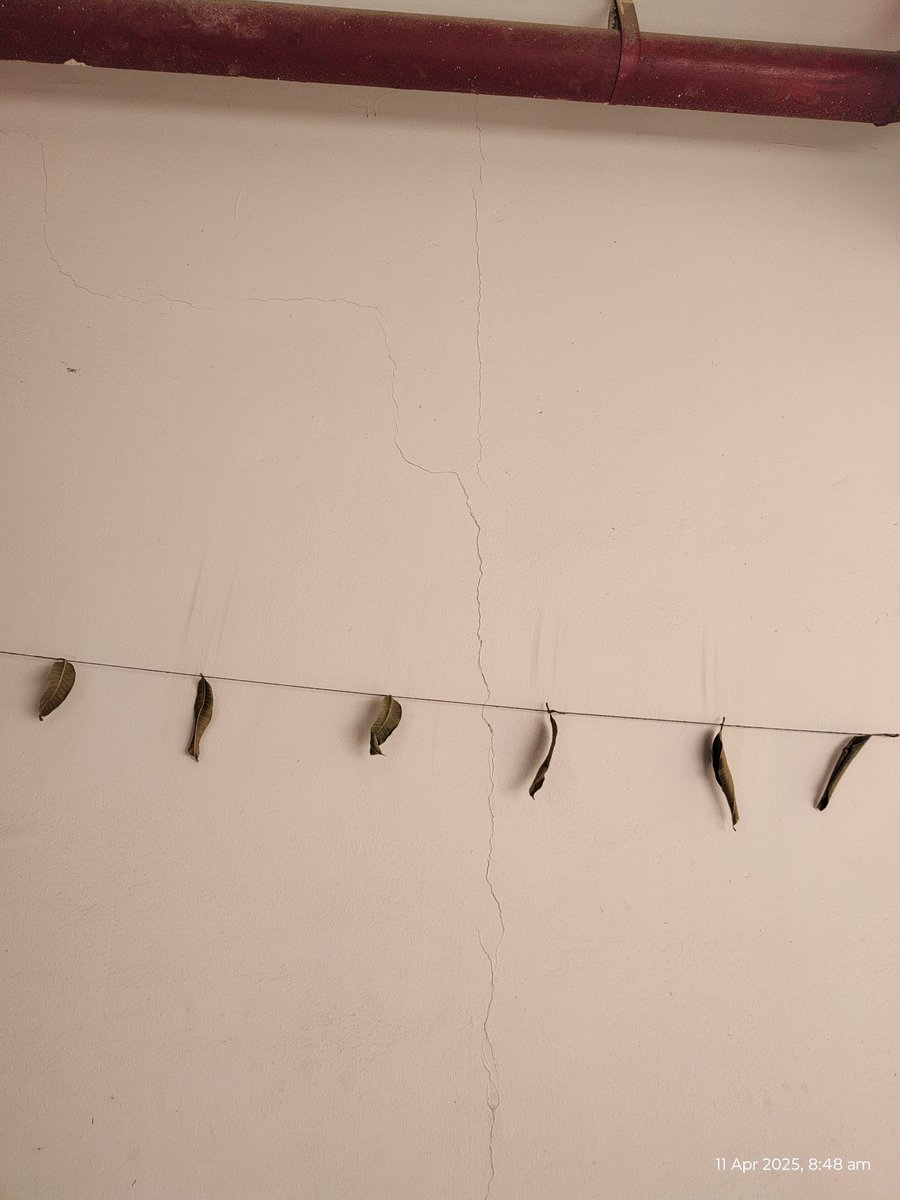 imm_jay's tweet photo. This is the worst construction quality of NBCC in the Amarpali Riverview project in G.Noida(W). I got my flat after more than 10 years and shifted 2 months back only. Today bathroom tiles have fallen on my kid. Crack in almost every wall . @dipankar_18 @MoHUA_India @OfficialNBCC https://t.co/zoXXTKDlkA