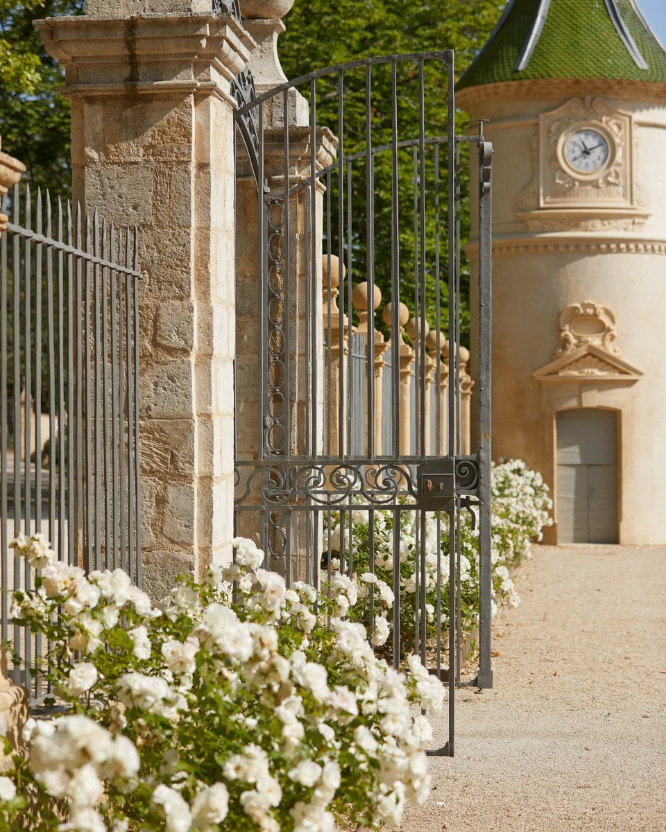 AbleMaxx tweet media