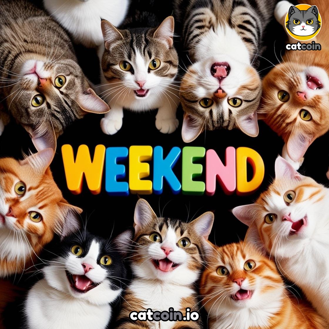 Have a pawsitive weekend! - $20 USDT

• Follow <a href="/officialcatcoin/">Official Catcoin</a>
• Retweet 
• And comment #Catcoin #USDT #giveaway 

48 hours
