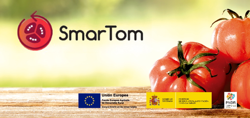 🌱🍅 SMARTOM, con la participación de ACOPAEX, reconocido como uno de los 5 Grupos Operativos Históricos por el MAPA  

#AgriculturaDePrecisión #Innovación #Tecnología #GOSSMARTOM #AgriculturaSostenible

acopaex.es/2025/04/11/sma…
