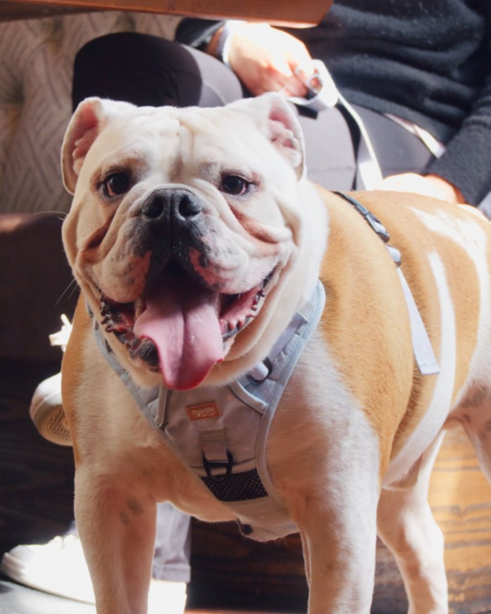 Visit Beverley tweet media