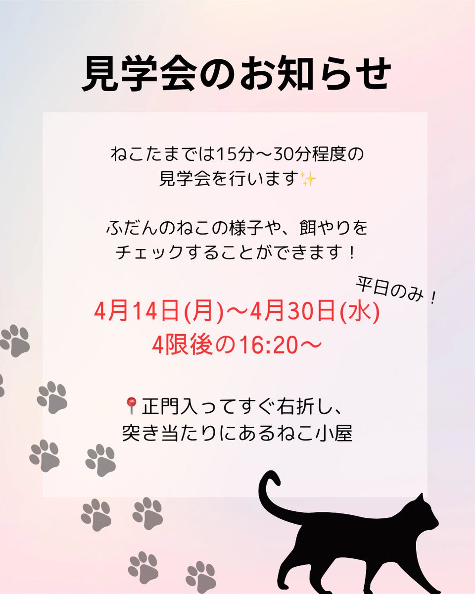 Nek0tama_B's tweet photo. こんにちは！
ねこたまです🐈‍⬛
4月14日(月)〜4月30日(水)4限後
平日のみ、見学会を実施します！✨

参加希望者はDM💌で、参加したい日付をご連絡ください

お待ちしております♪ https://t.co/6RhYzsOims