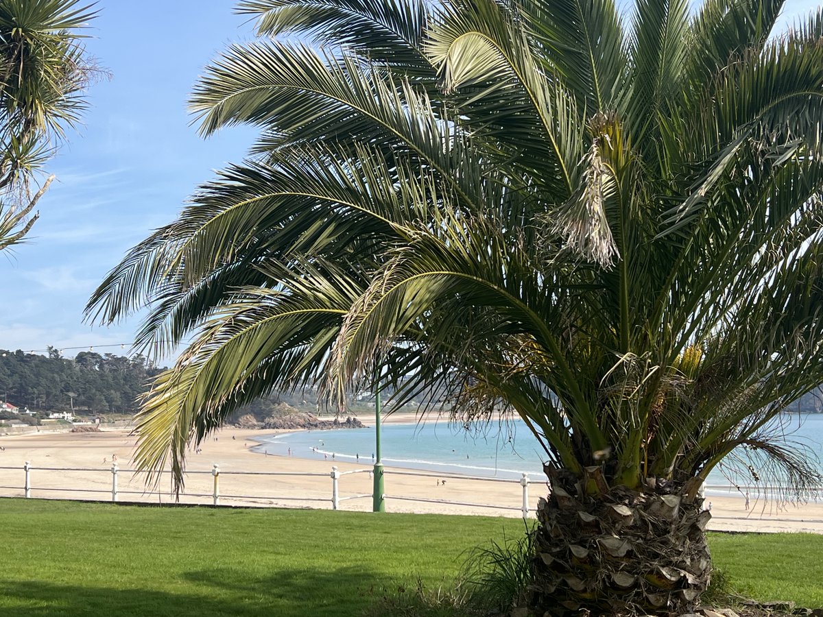 St Brelade’s Bay 🇯🇪 this week #JerseyCI