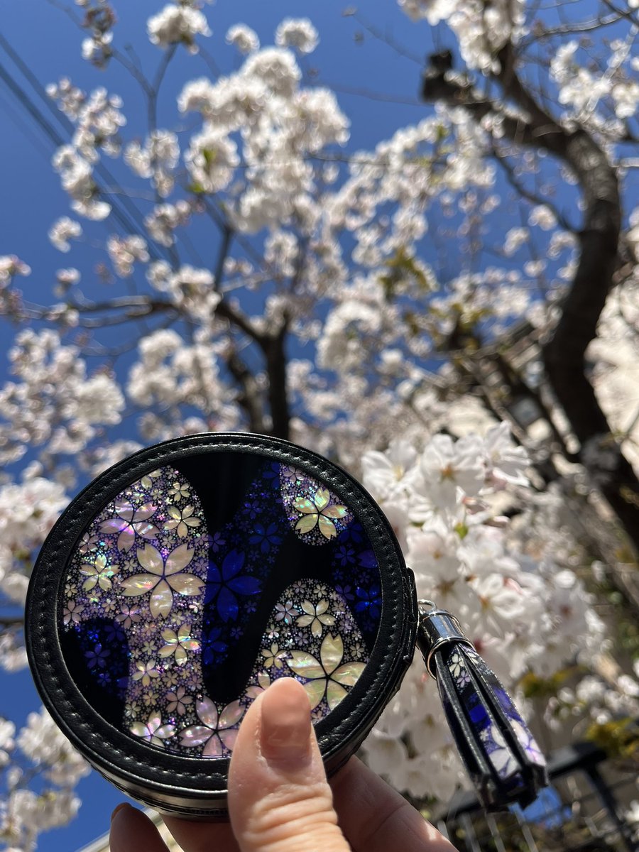 Mayumi97838521's tweet photo. 満開の桜🌸にプリクリさんのアクセサリーポーチ夢桜-雅-
青空と桜によく映えて、キラキラ綺麗✨️
#桜パーティ2025
#print_creator
#螺鈿アート https://t.co/0cw8xtvT1d