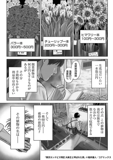 その植物は世界でいちばん金になる植物だった--

『東京カンナビス特区 大麻王と呼ばれた男』1/5

続きます↓
https://t.co/Fkt7HXk9Dt 